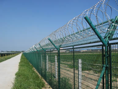 Galvanized Straight Line Razor Wire Fence